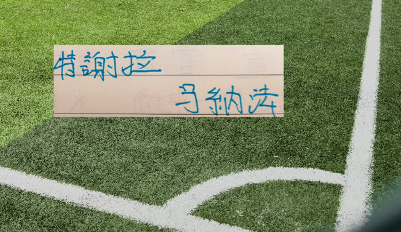 九游娱乐-申花从负10到正1 只要5轮 特谢拉跟马纳法再踢下去 可能会再续